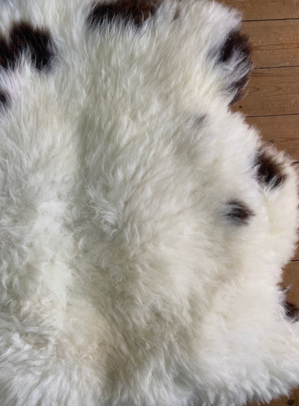 Cream and brown sheepskin rug close up 