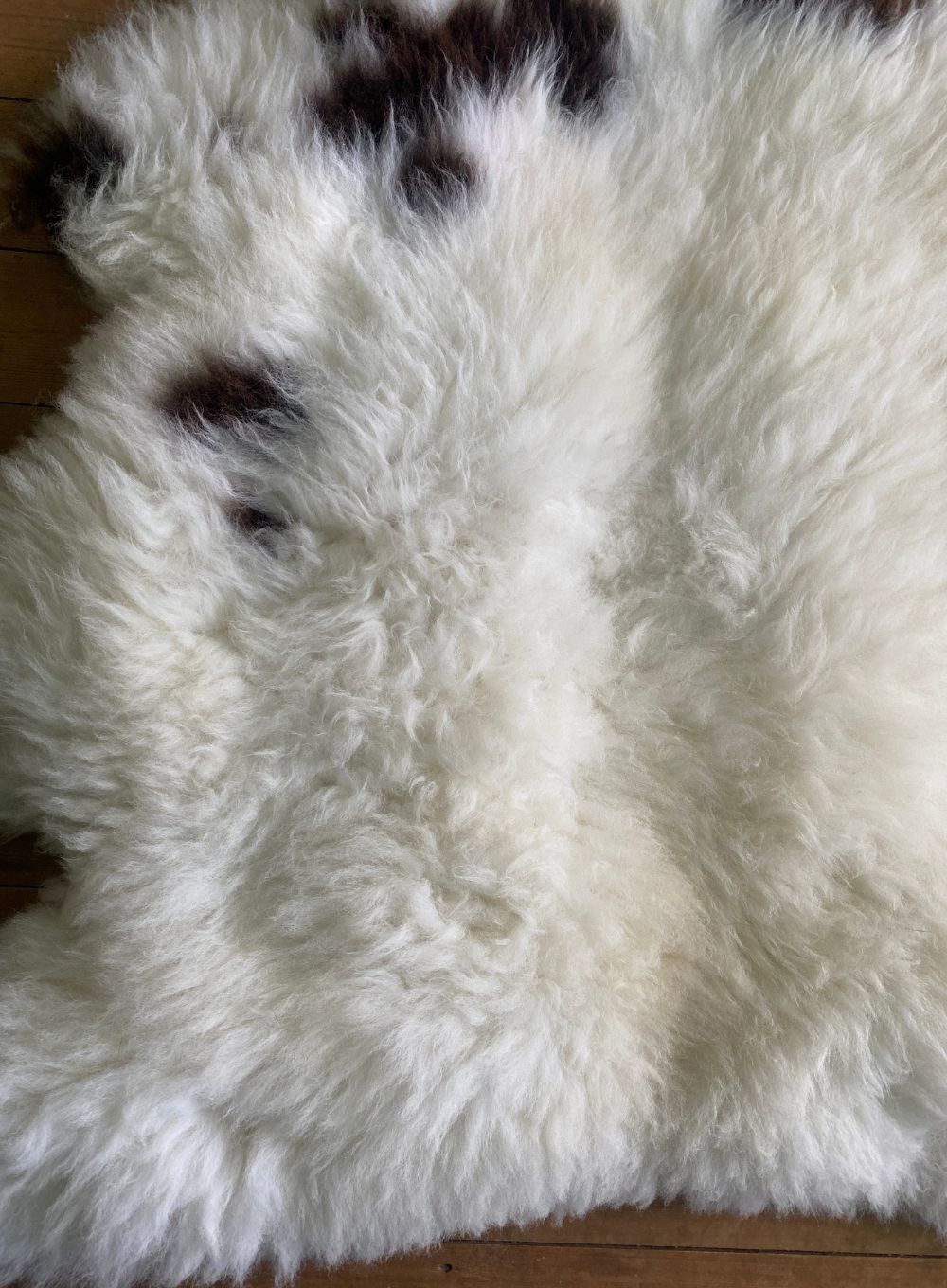 Cream and brown sheepskin rug close up 
