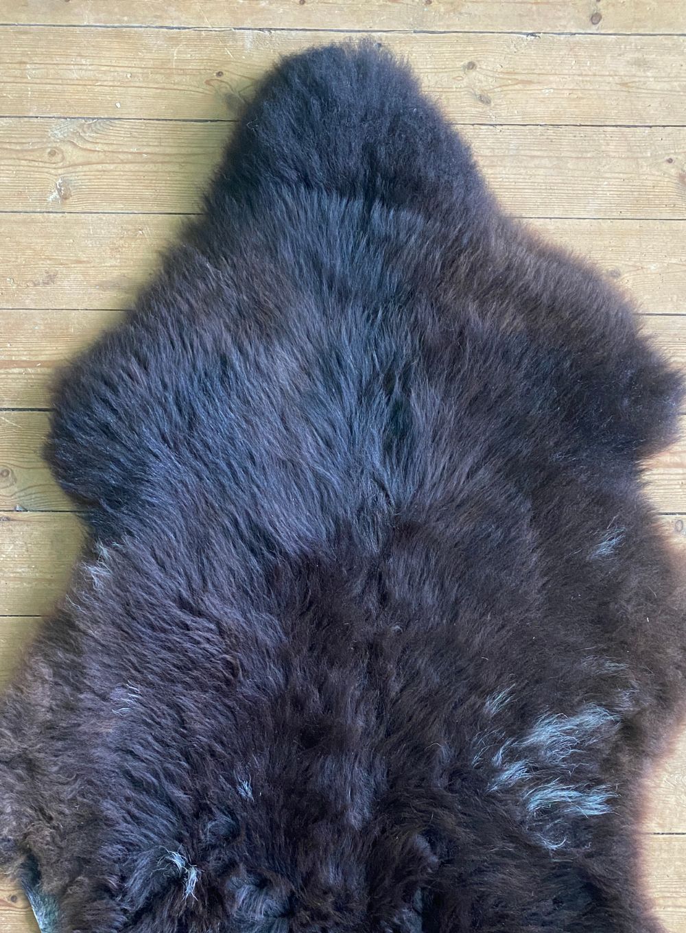 Brown sheepskin rug close up