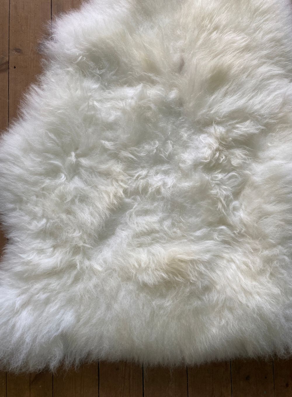 Cream sheepskin rug close up