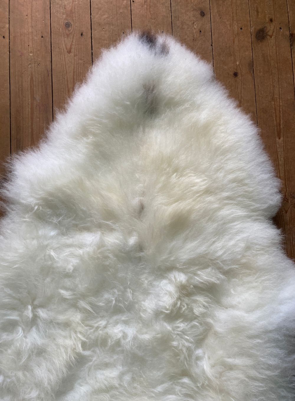 Cream sheepskin rug close up