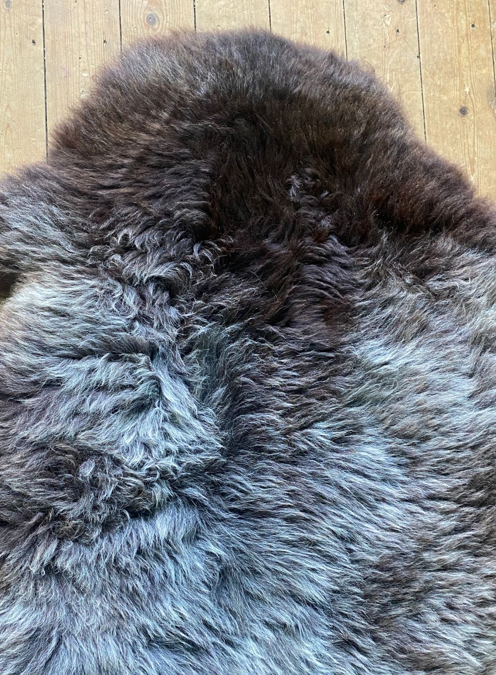 Brown and grey sheepskin rug close up