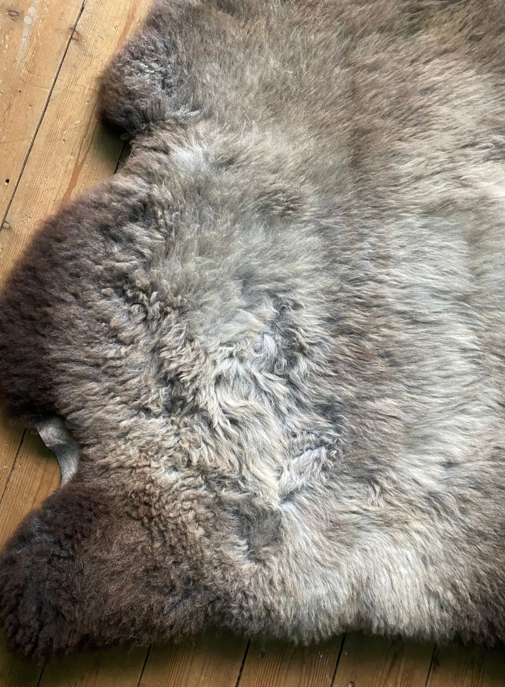 Grey and brown sheepskin rug close up