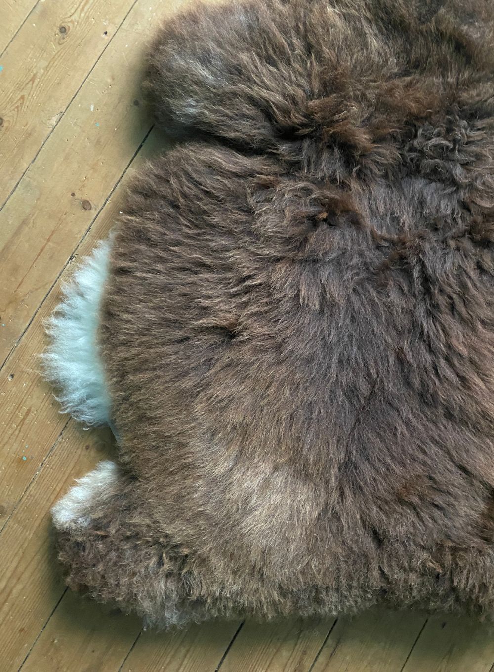 Brown sheepskin rug close up