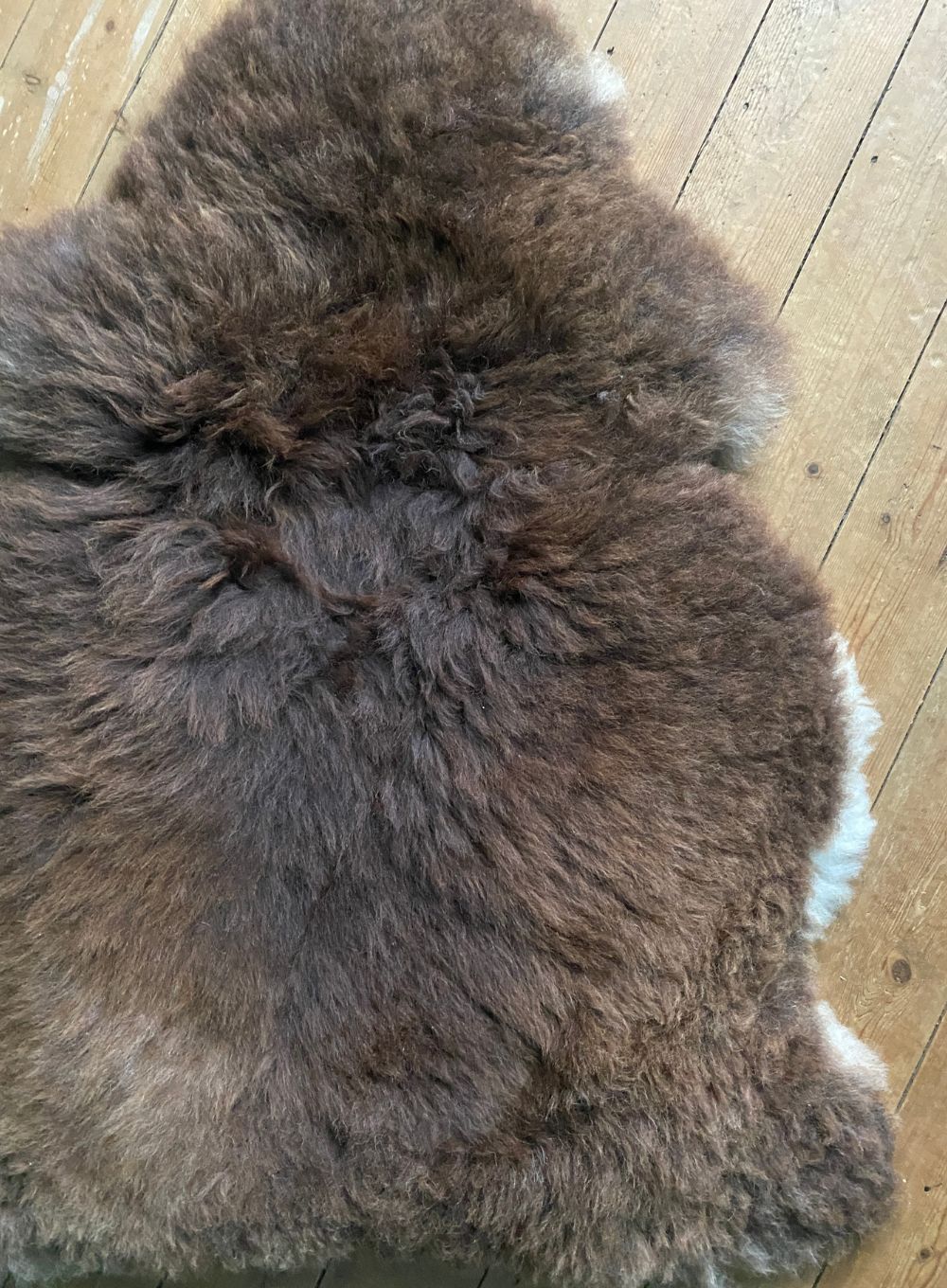Brown sheepskin rug close up