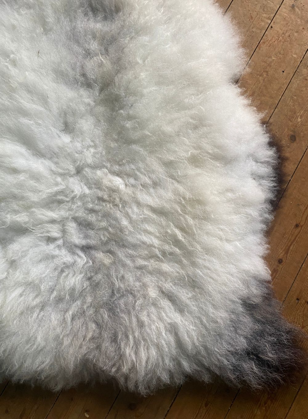 Cream speckled sheepskin rug close up