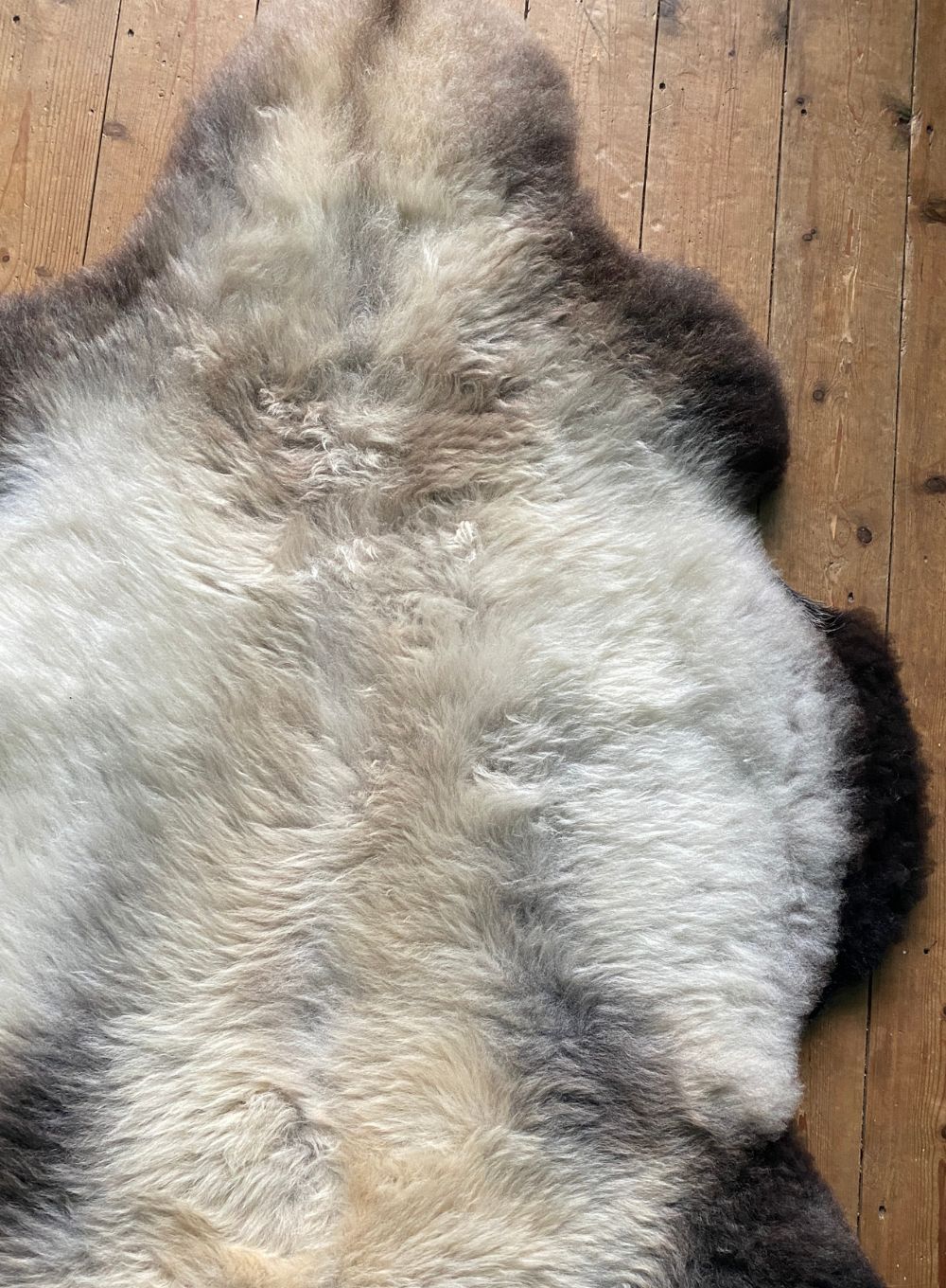 Cream speckled sheepskin rug close up 