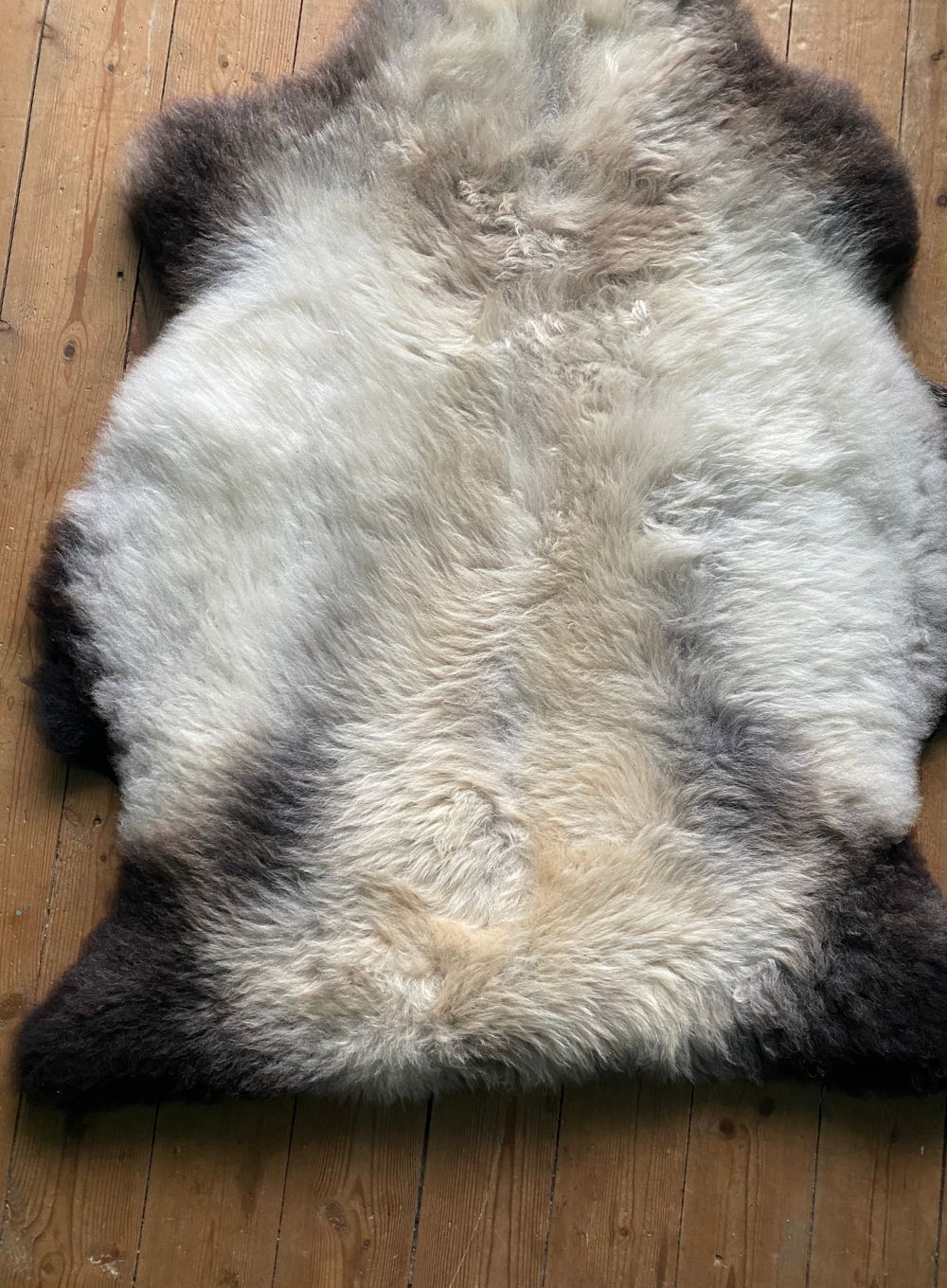 Cream speckled sheepskin rug close up 