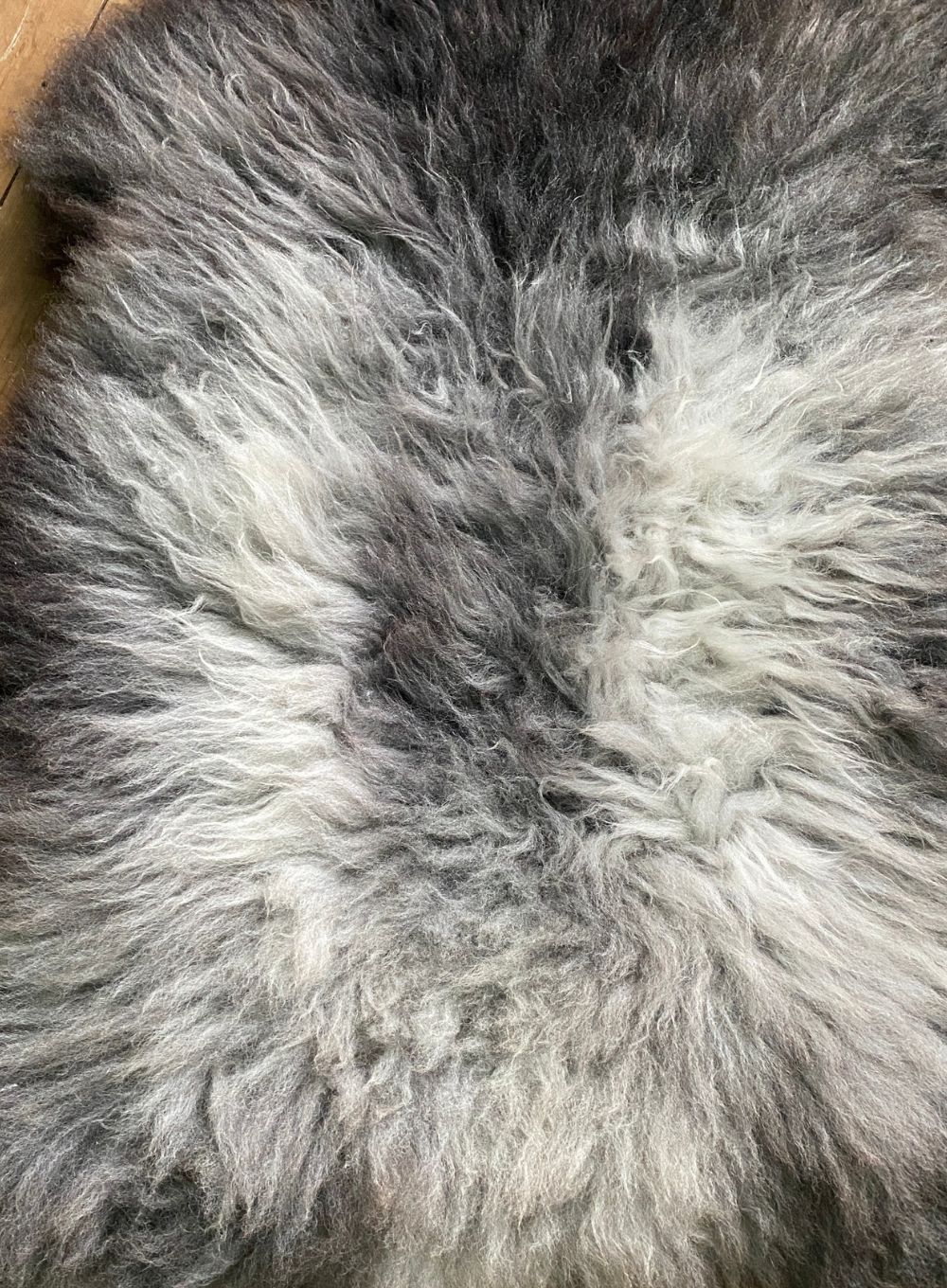 Grey sheepskin rug close up