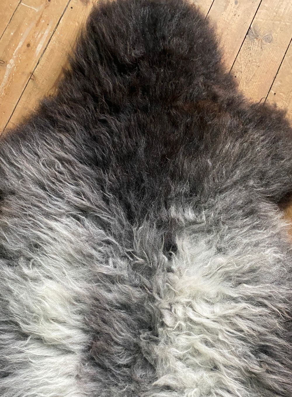 Grey sheepskin rug close up