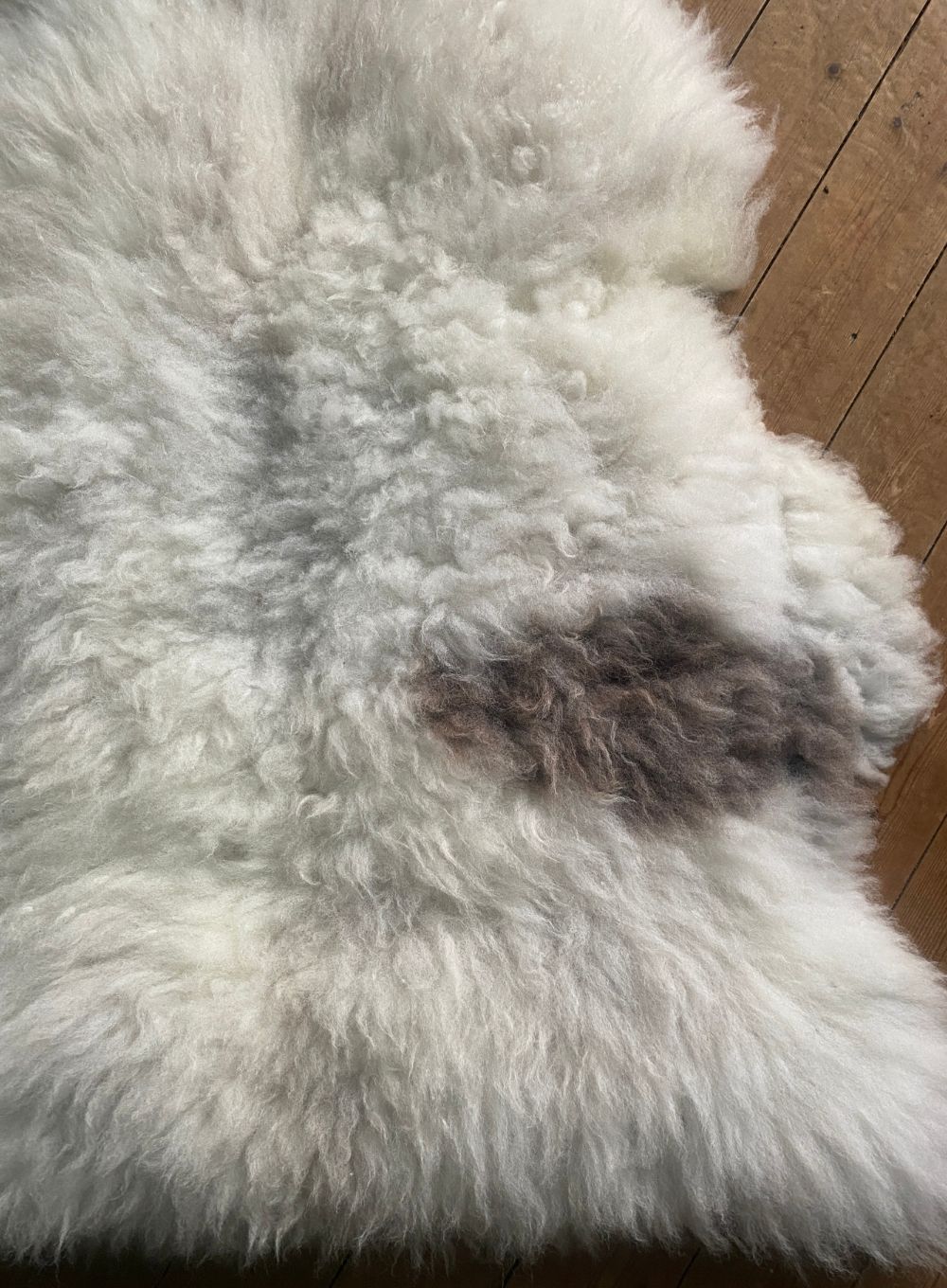 Cream sheepskin rug with brown spot close up