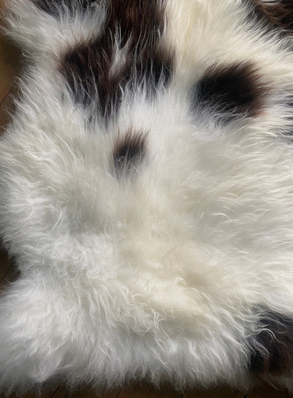 Brown and cream sheepskin rug close up