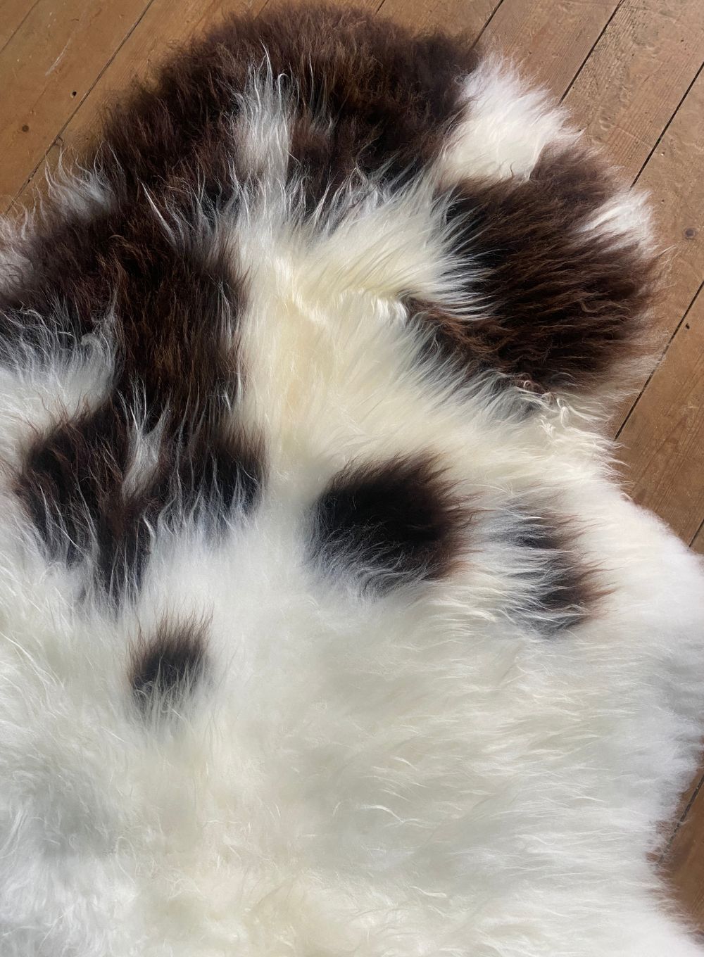 Brown and cream sheepskin rug close up