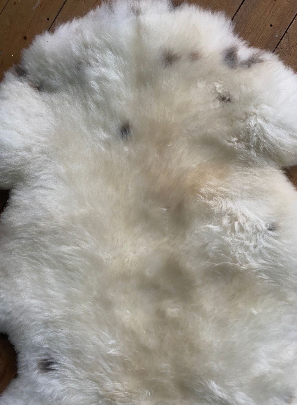 Cream speckled sheepskin rug close up