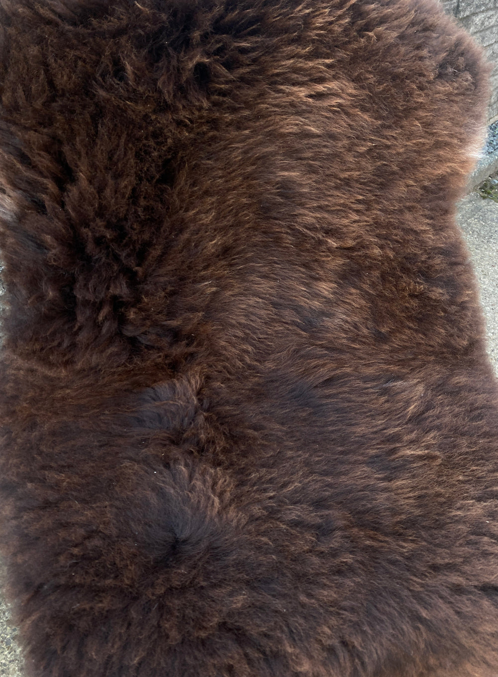 Dark brown sheepskin rug close up