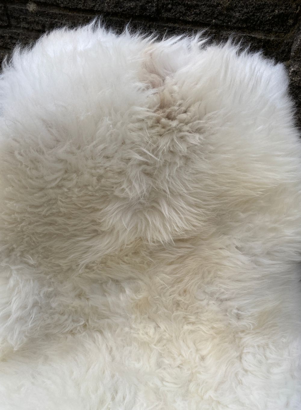 Cream sheepskin rug close up