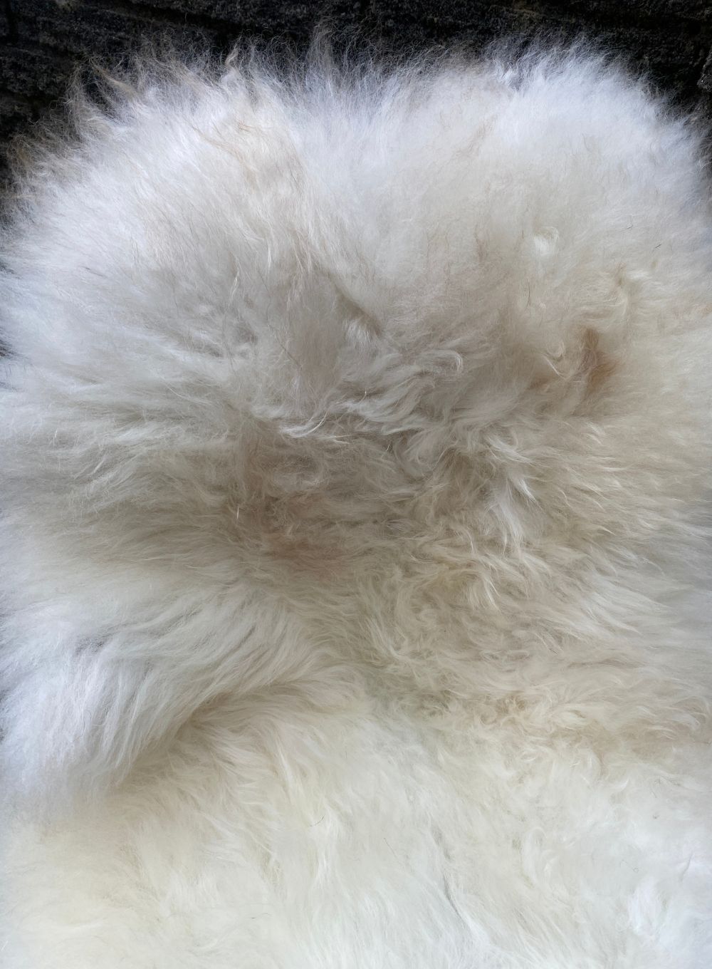 Cream sheepskin rug close up