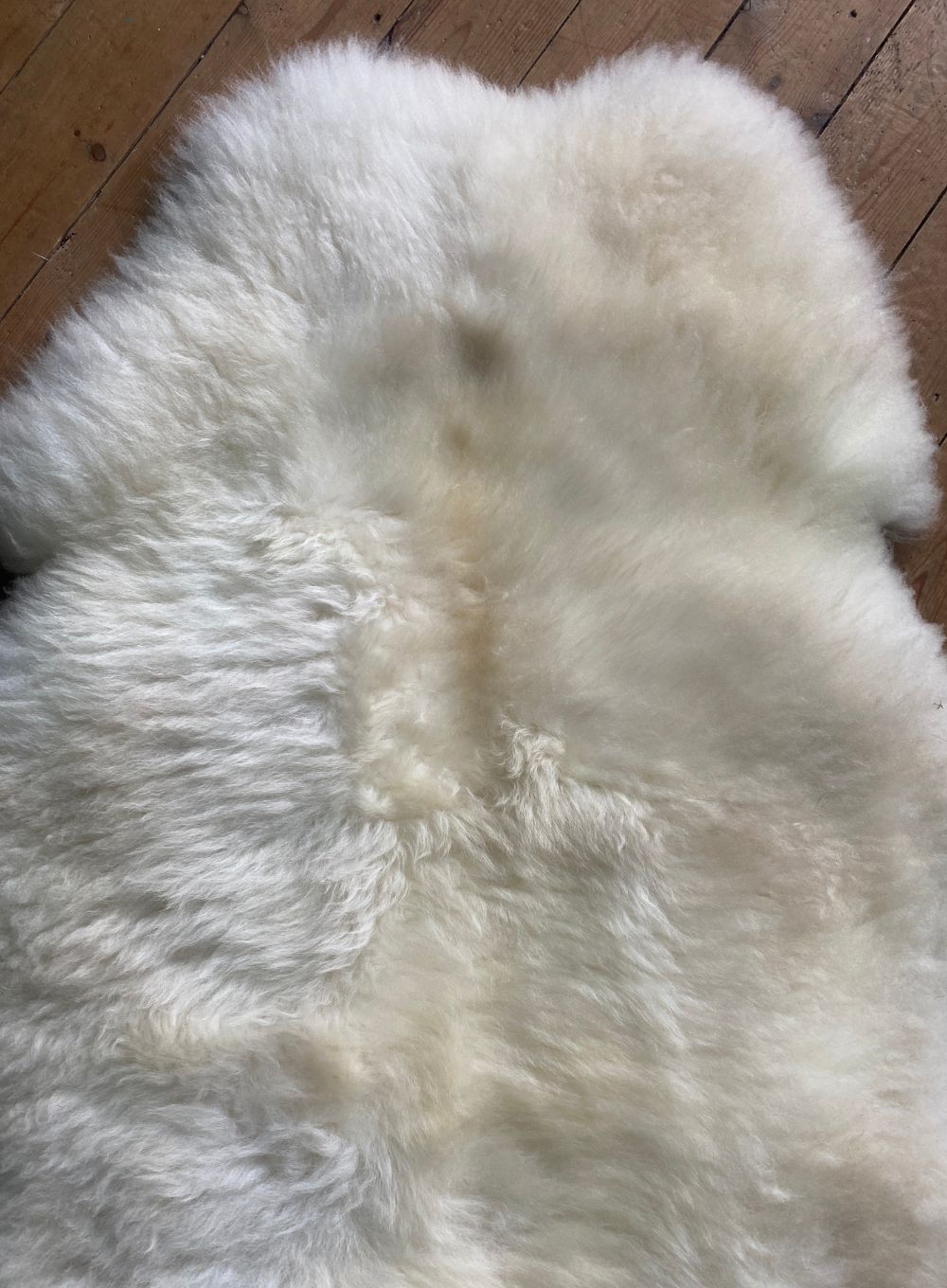 Cream sheepskin rug close up