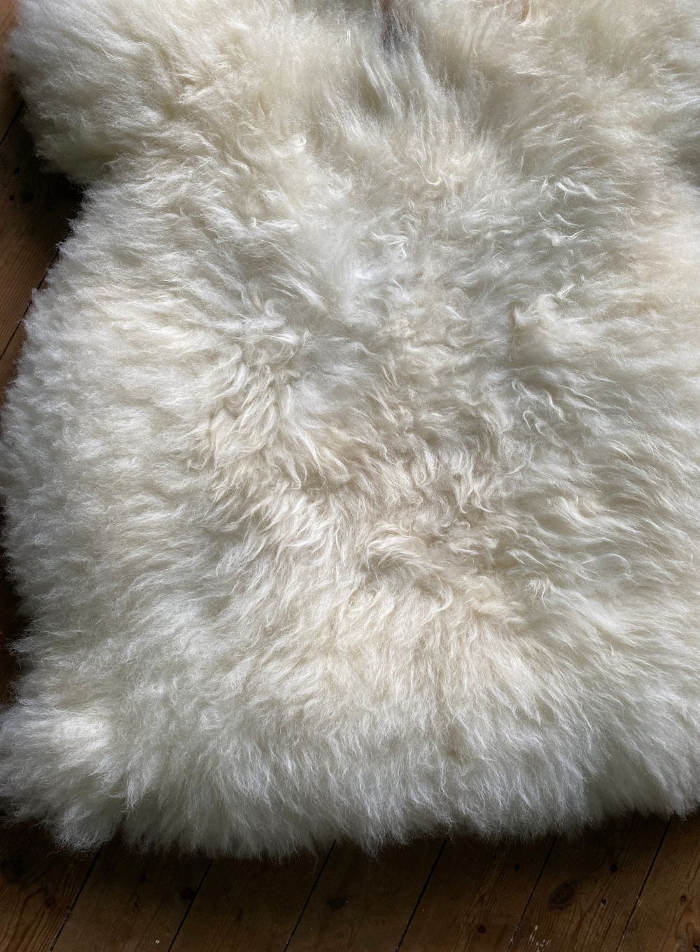 Cream sheepskin rug close up