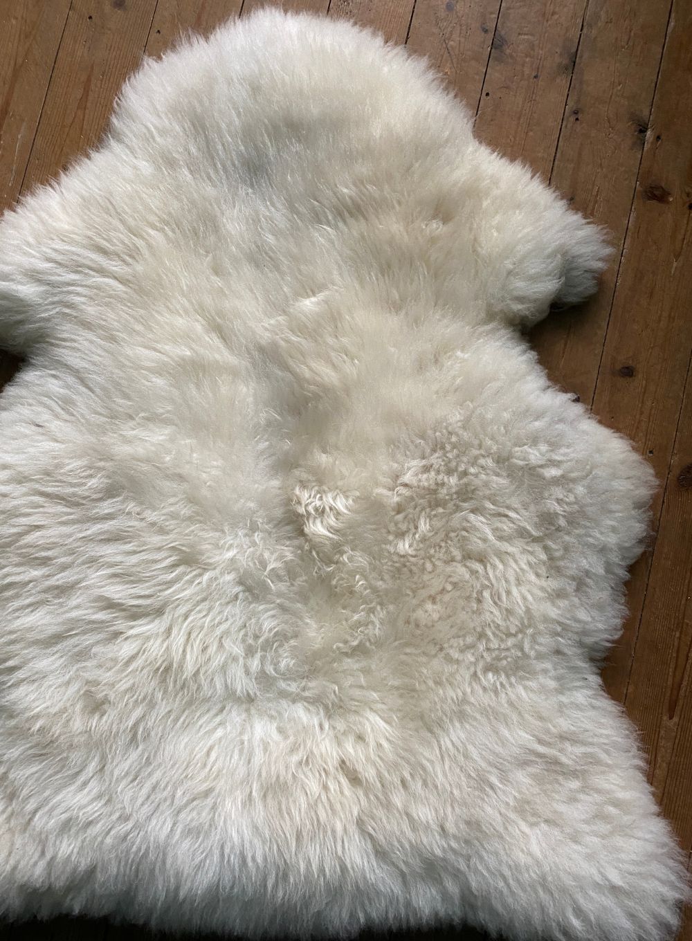 Cream sheepskin rug close up