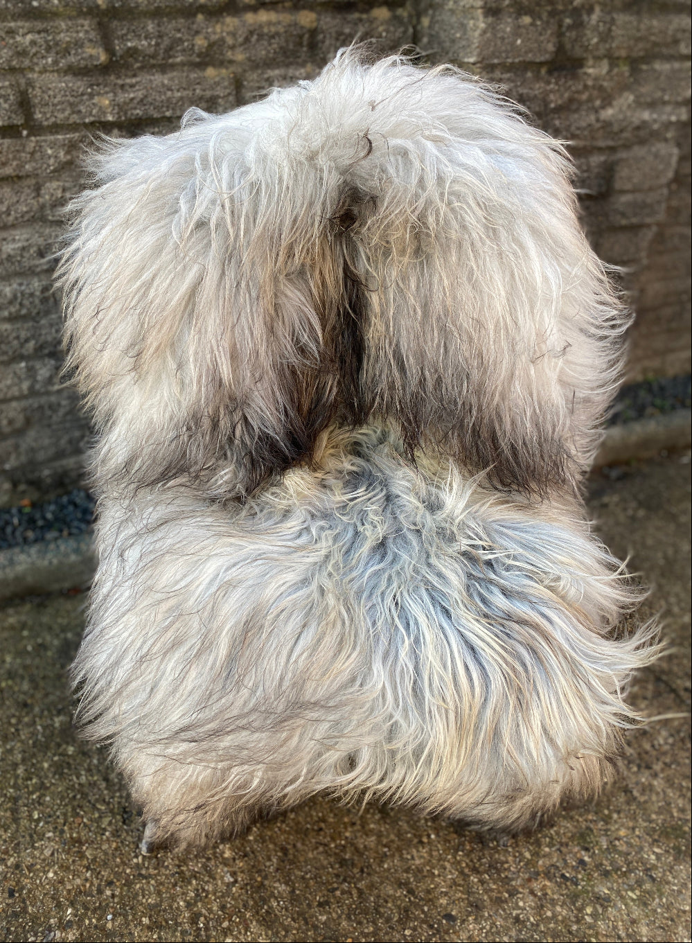Grey and cream sheepskin rug on chair