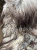 Grey and white sheepskin rug  close up