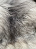 Grey and white sheepskin rug close up