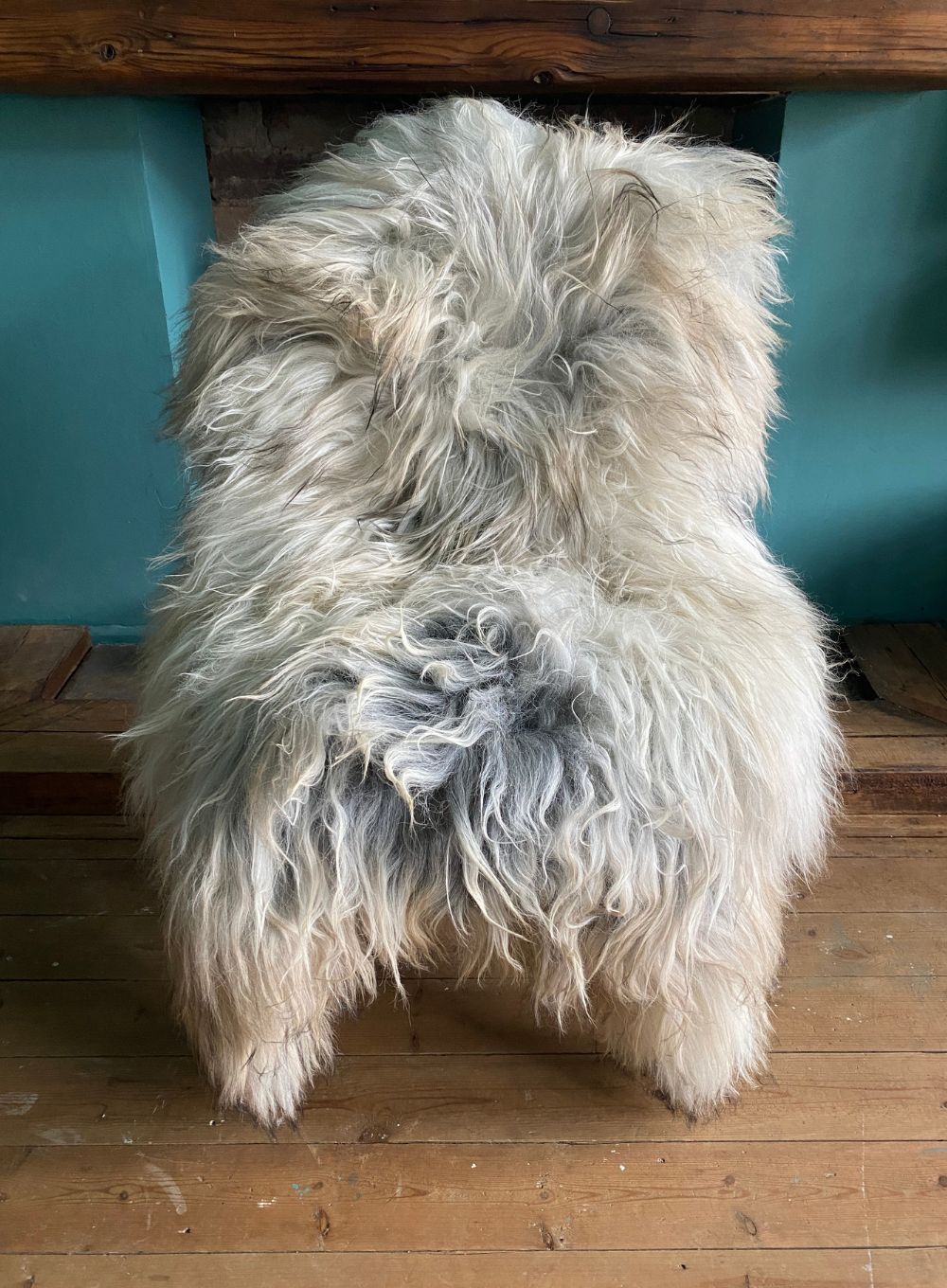 Grey and cream long haired sheepskin rug on chair