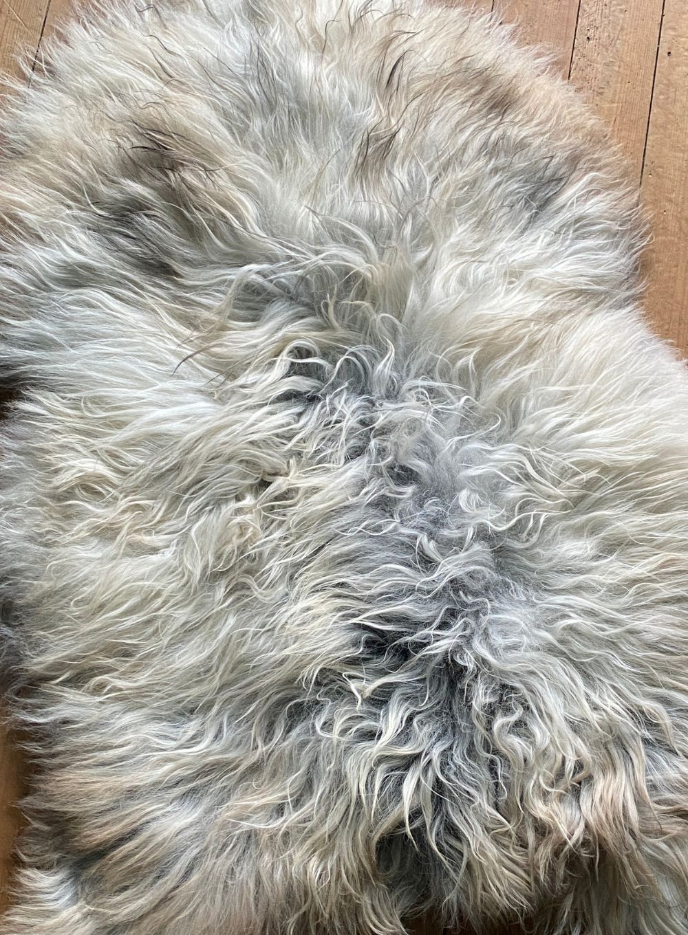 Grey and cream long haired sheepskin rug close up