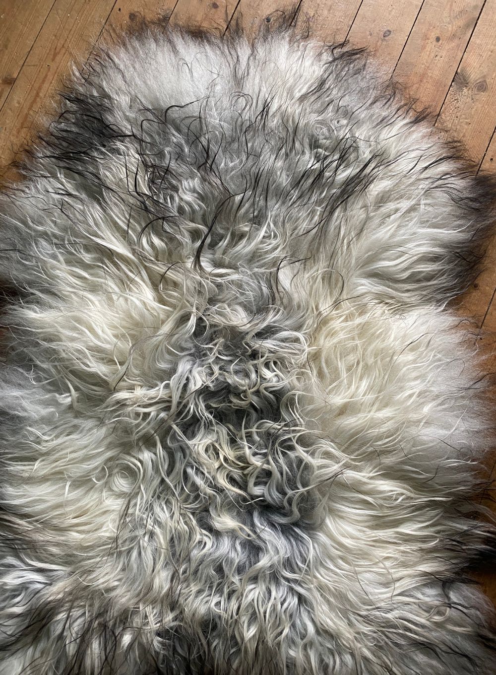Grey and cream long haired sheepskin rug close up
