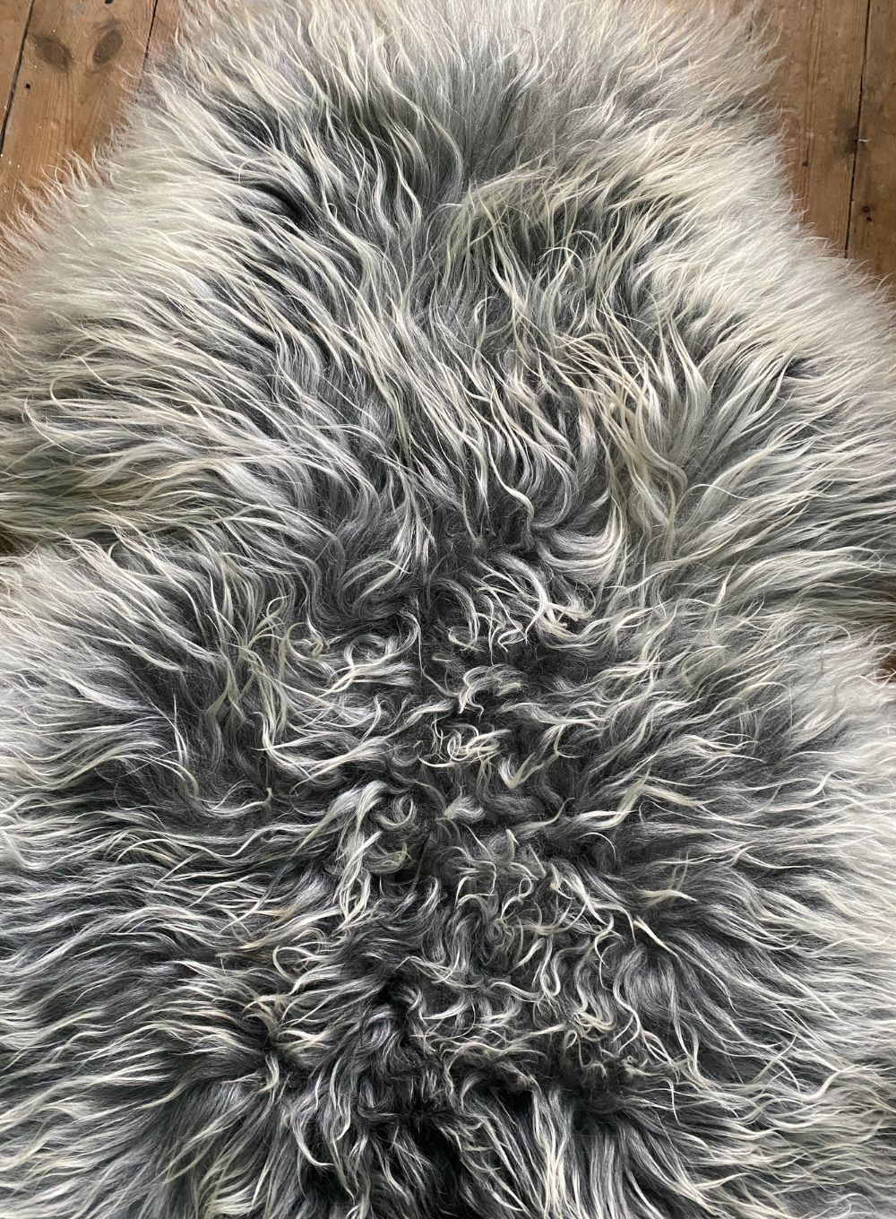 Long haired grey and cream sheepskin rug close up