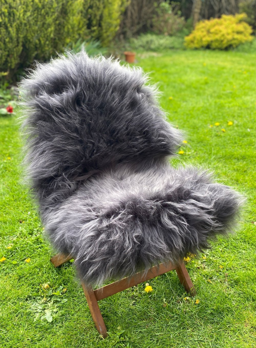 Dark grey Icelandic sheepskin rug on chair