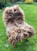 Light Brown Icelandic Sheepskin Rug on chair 