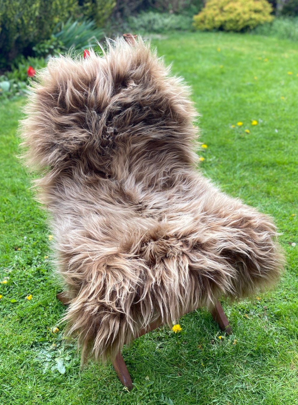 Light Brown Icelandic Sheepskin Rug on chair 