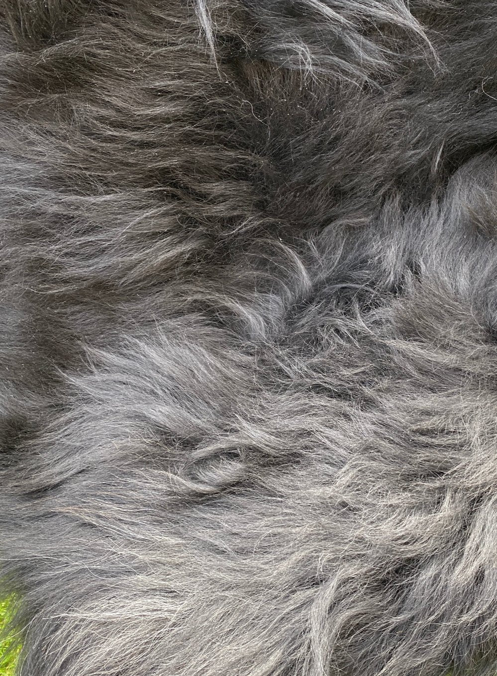 Black Icelandic sheepskin rug close up 