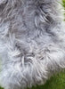 Light silver grey Icelandic sheepskin rug close up