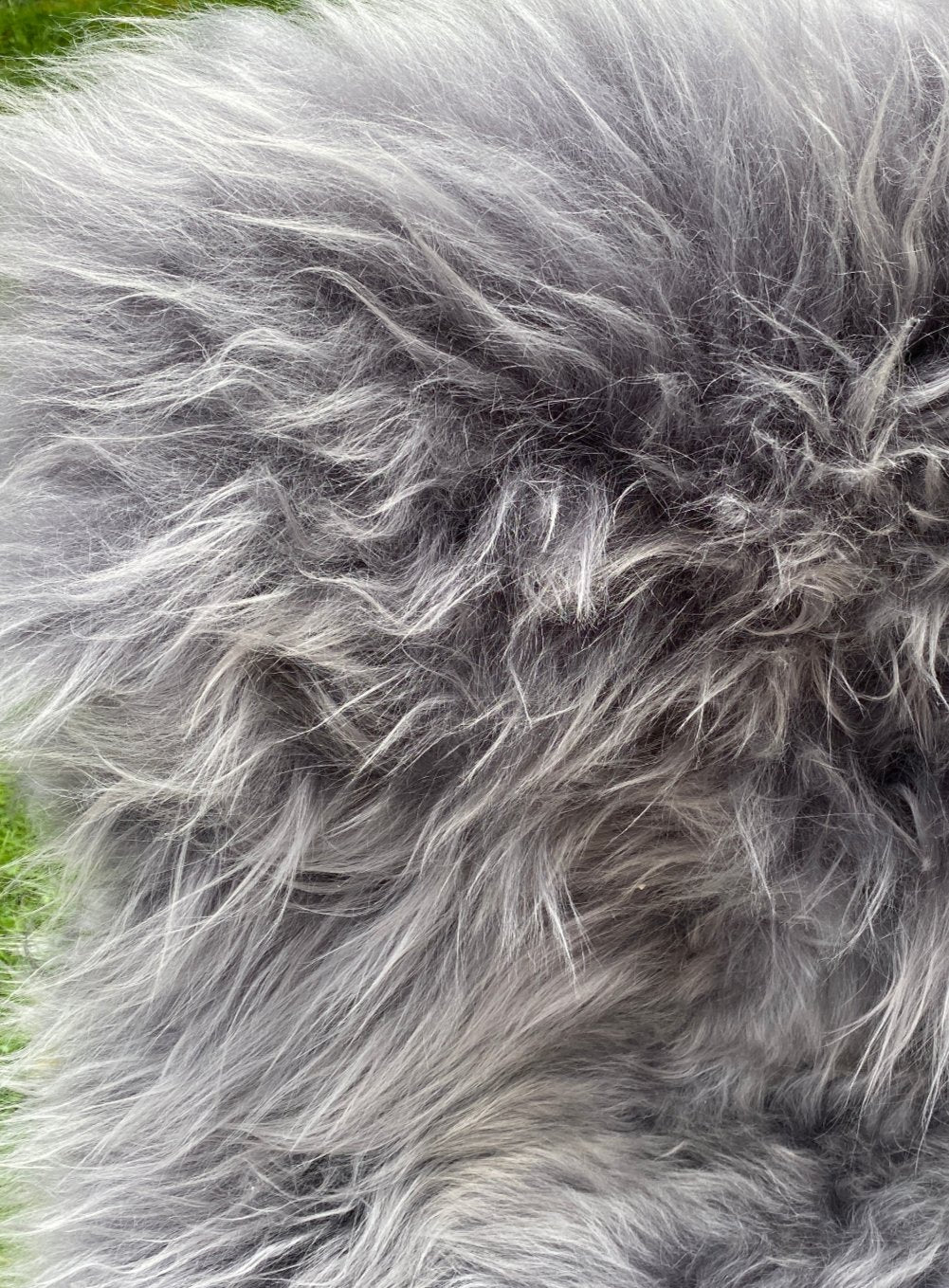 Slate grey Icelandic sheepskin rug close up 