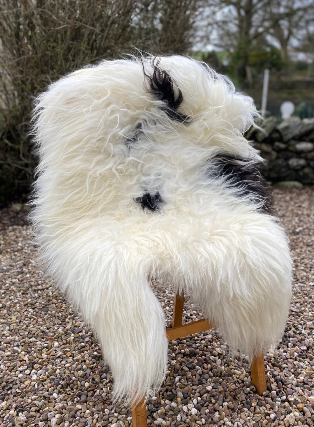 Black and white spotty Icelandic rug on chair 