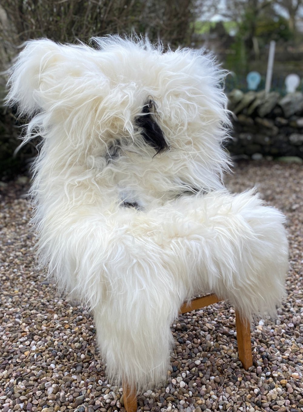 Black and white spotty Icelandic rug on chair 