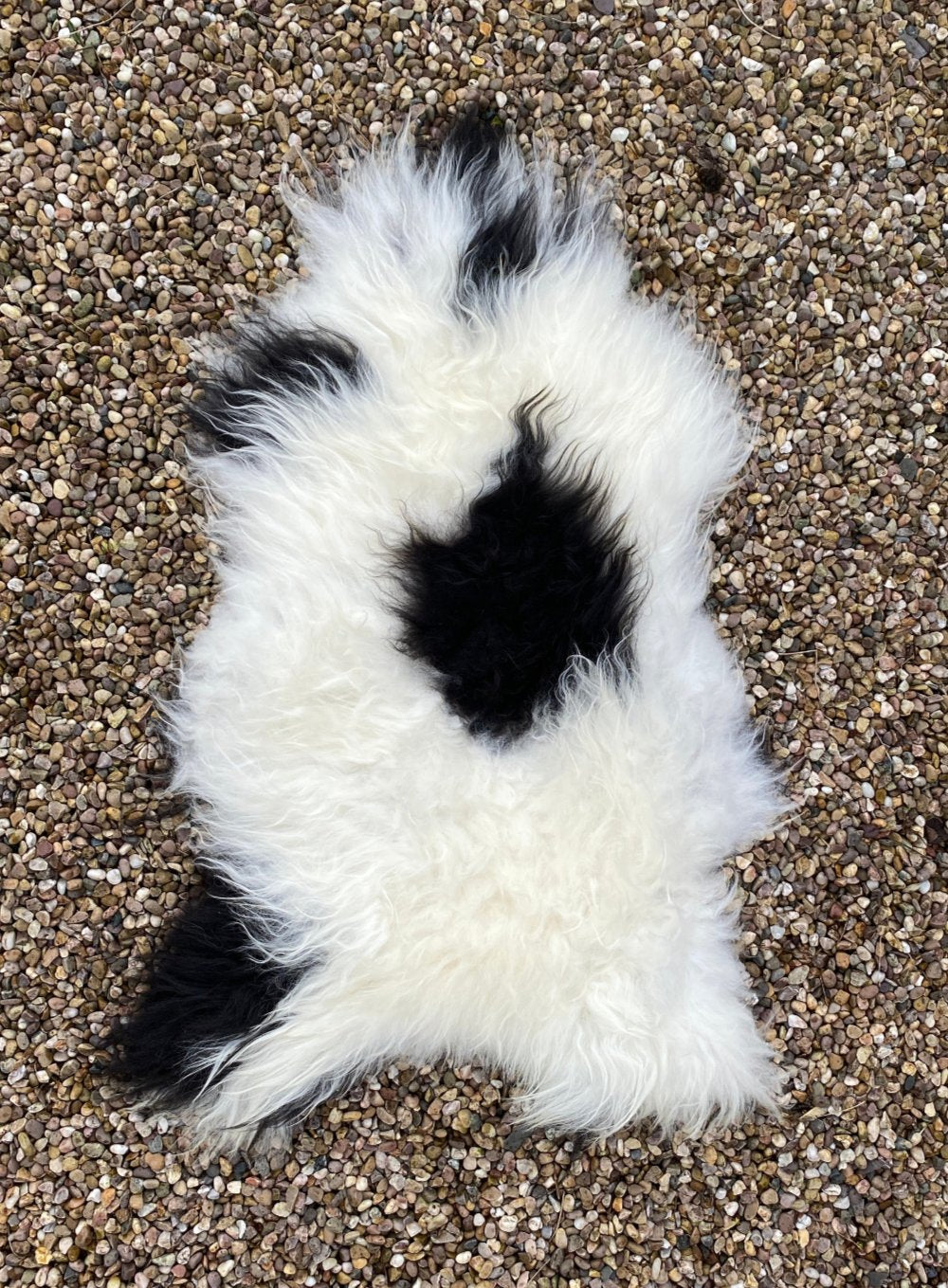 Black and white spotty Icelandic rug laid flat