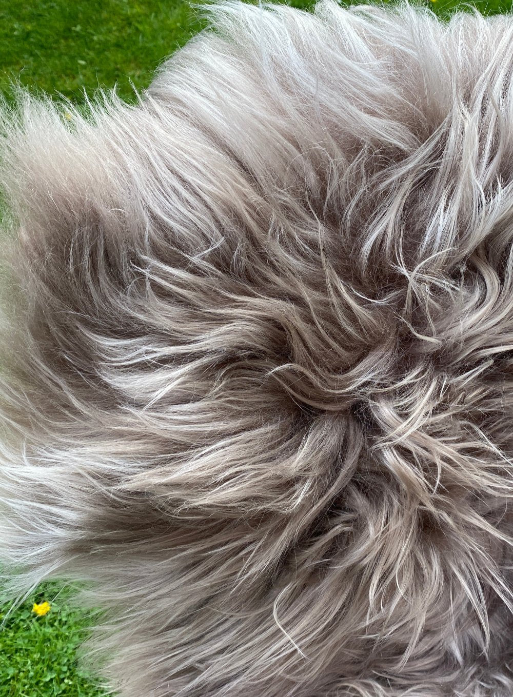 Taupe Light brown Icelandic rug close up 