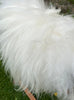 White Icelandic rug close up 