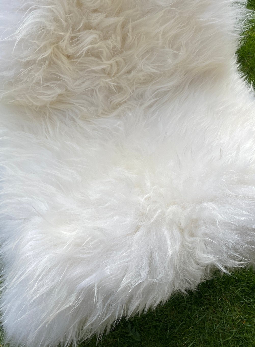 White Icelandic rug close up 