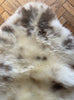 Cream speckled sheepskin rug close up
