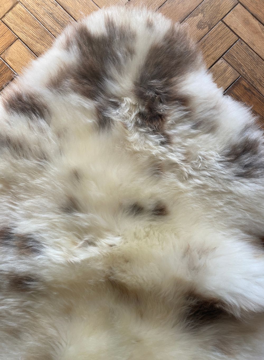 Cream speckled sheepskin rug close up