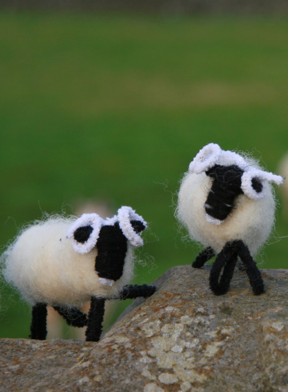 Glen the Glencroft Model Sheep