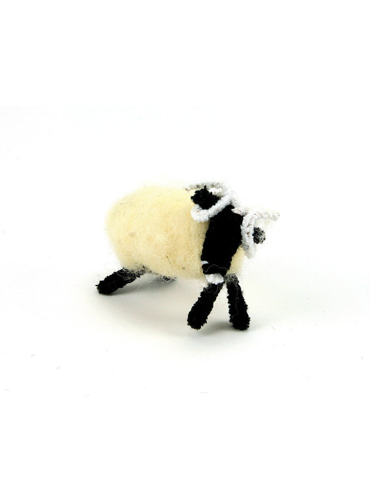 Glen the Glencroft Model Sheep