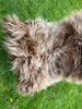 Highland Cow Brown Icelandic Sheepskin Rug