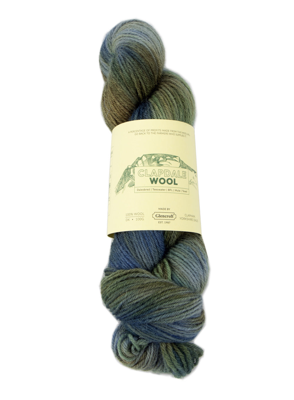 Clapdale Wool Hand Dyed Field Multicolour 100g DK