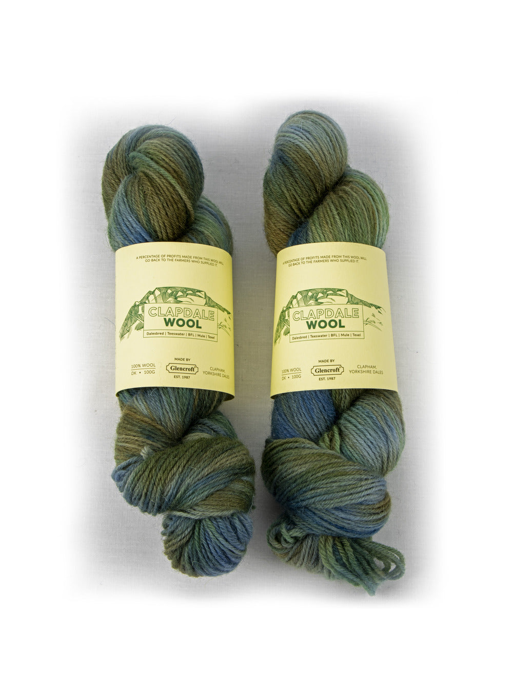 Clapdale Wool Hand Dyed Field Multicolour 100g DK